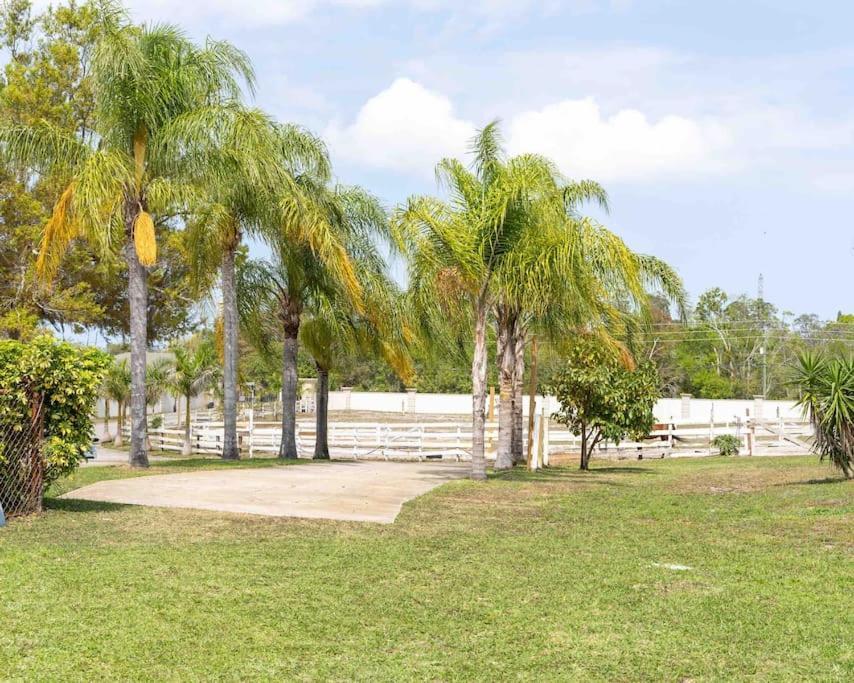 Tampa Bay Oasis Tarpon Springs Exterior foto