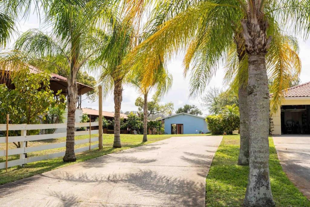 Tampa Bay Oasis Tarpon Springs Exterior foto