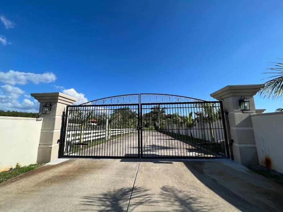 Tampa Bay Oasis Tarpon Springs Exterior foto