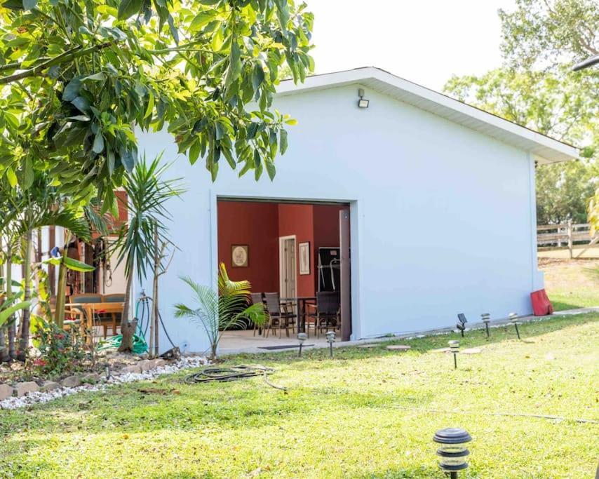 Tampa Bay Oasis Tarpon Springs Exterior foto